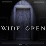 Bis Lark Wide Open