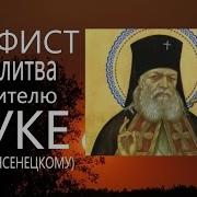 Акафист Луке Войно Ясенецкому