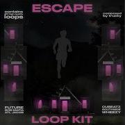 Detroid Loop Pack