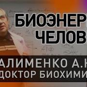 Биоэнергетика Человека А Н Алименко