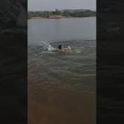 Бегубор Ёшлик Даври