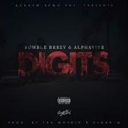 Bumble Beezy X Alphavite Digits