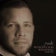 Mordechai Shapiro Get Back Up Again