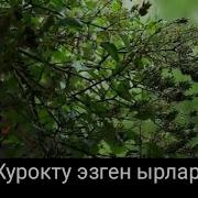 Журокту Эзген Ыр