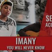 Imany You Will Never Know Acapella