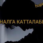 Нурбек Токбаев Куйут Текст
