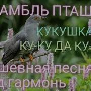 Песня Под Гармонь Ку Ку Да Ку Ку Ансамбль Пташица