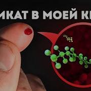 Kyle Allen Best Friend Fnsf На Русском