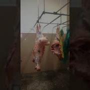 Gurcustanda Halal Kalbasa Ve Sasiska