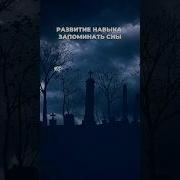 Практическая Психология C Александром Красновым