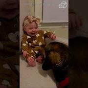 Dogs Licking Girls Feet