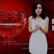 Rammstein Amour На Русском Перевод