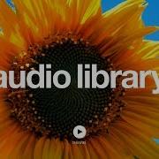 How It Began Silent Partner No Copyright Music