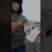 Заточка Топора Напильником