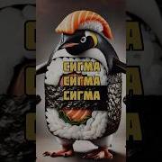Песня С Итальянскими Жевотноми И Плюс Сигма Бой