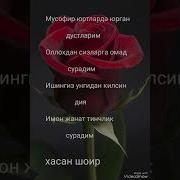 Musofir Sheri Мусофир Шери