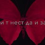 Т Гарени Бамазаи Кампот Шкалад Меваги