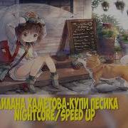 Купи Пёсика Speed Up