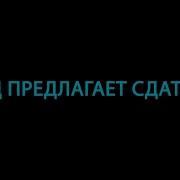 Кац Предлагает Сдаться Стас