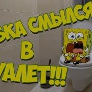 Несчастный Случай Губка Боб Смылся В Туалет Это Не Шутка Как Такое Вообще Возможно