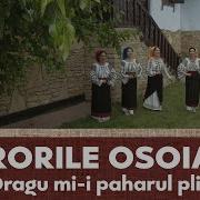 Surorile Osoianu Cantec De Pahar