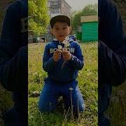Будет Лето Одуванчики