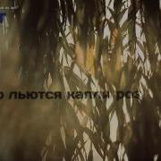 Дан Балан Домой