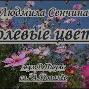 Полевые Цветы Минусовка