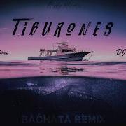 Tiburones Bachata Remix Dimen5Ions Ft Dj Alejandro Ricky Martin