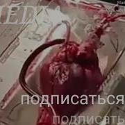 Аз Дили Шикастаи Пораи Нимсухтаам
