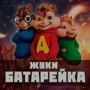 Бурундуки Жуки Батарейка