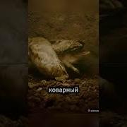 Звук Для Неожиданного Поворота