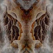 Liquid Bloom Pere Riding Through Zen Baboon Remix