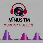 Murgap Gulleri Turkmen Minus Sazlar Turkmen Karaoke Minus Tm 2020