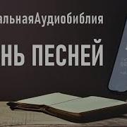 Milfпеснь Песней Слушать Онлайн Бесплатно