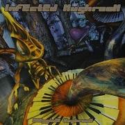 Infected Mushroom The Missed Symphony