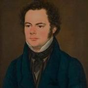 Schubert S Winterreise A Composed Interpretation After Franz Schubert Winterreise D 911 Wasserflut