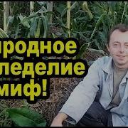 Естественное Или Природное Земледелие
