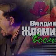 Владимир Ждамиров Весна 2