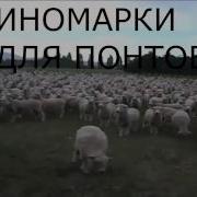Типичный Разговор С Тазодрочером