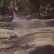 Катания На Свиньях Прикол