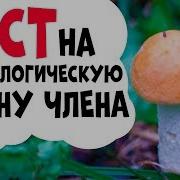 Тест На Длину Члена