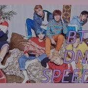 Speed Up Bts Dna