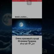 Пайхмар Делер Салам Маршал Хуьл