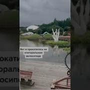 Получила Оргазм Прикол