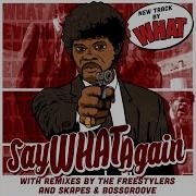 Say What Again Freestylers Raw As F K Remix