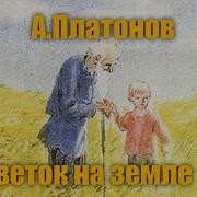 Андрей Платонов Цветок На Земле