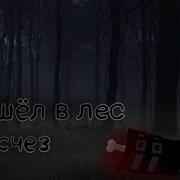 Зашёл В Лес И Исчез