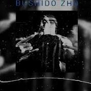 Ребром Bushido Zho Минус