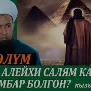 Муса Алейхисалам Толугу Менен